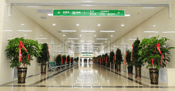 http://hmucancerhospital.org.cn/upload/Images/20160124/admin2016012412554318.jpg